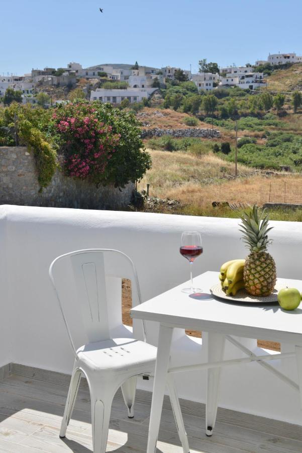 Naxian Album Villa Kaliope With Private Pool In Naxos Glinado Naxos 외부 사진